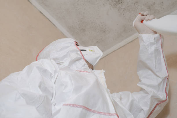 Best Mold Remediation  in Estes Park, CO