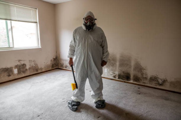 Best Mold Testing  in Estes Park, CO